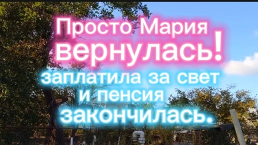 Просто Мария вернулась! Заплатила за свет и пенсия закончилась. Лучок посажен.