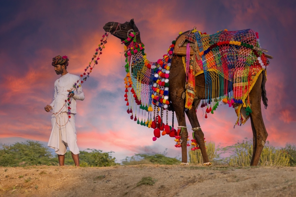 Фото: Chintan Mehta / shutterstock.com