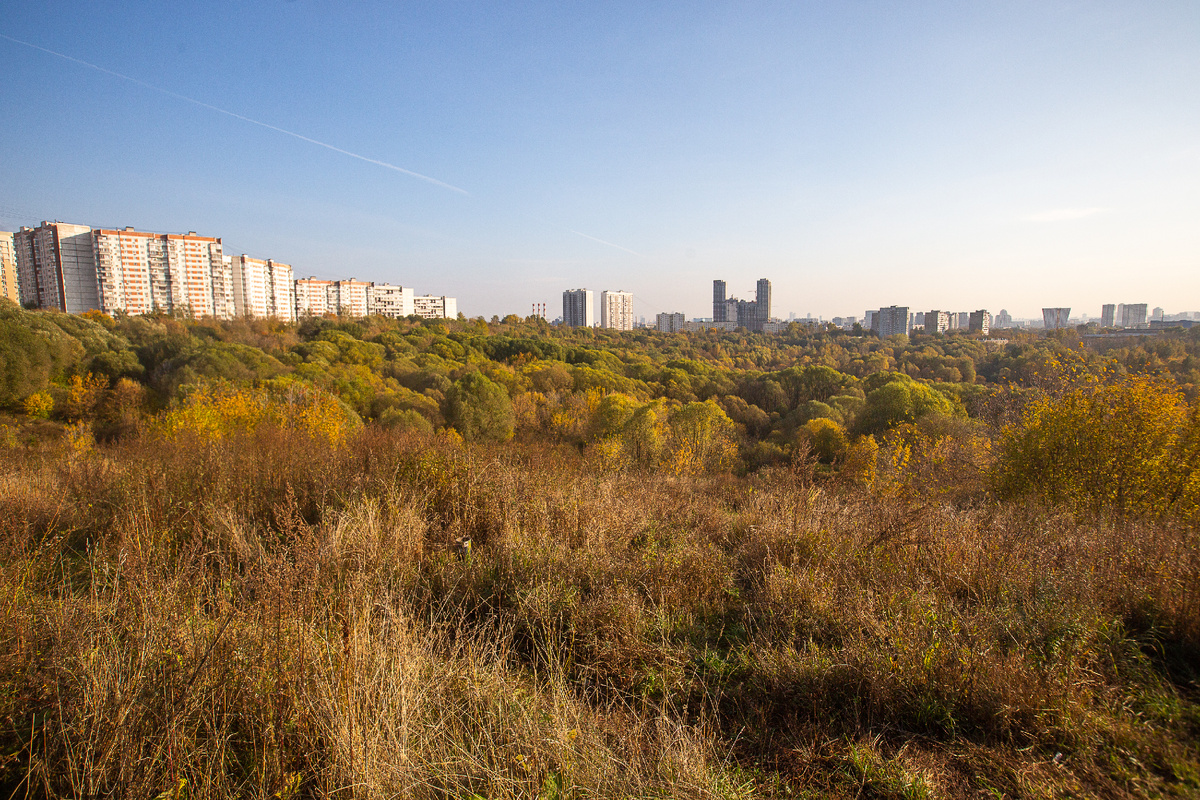 Памятник природы "Сходненский ковш". Москва. Фото автора статьи 