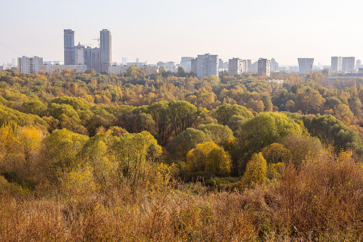 Памятник природы "Сходненский ковш". Москва. Фото автора статьи