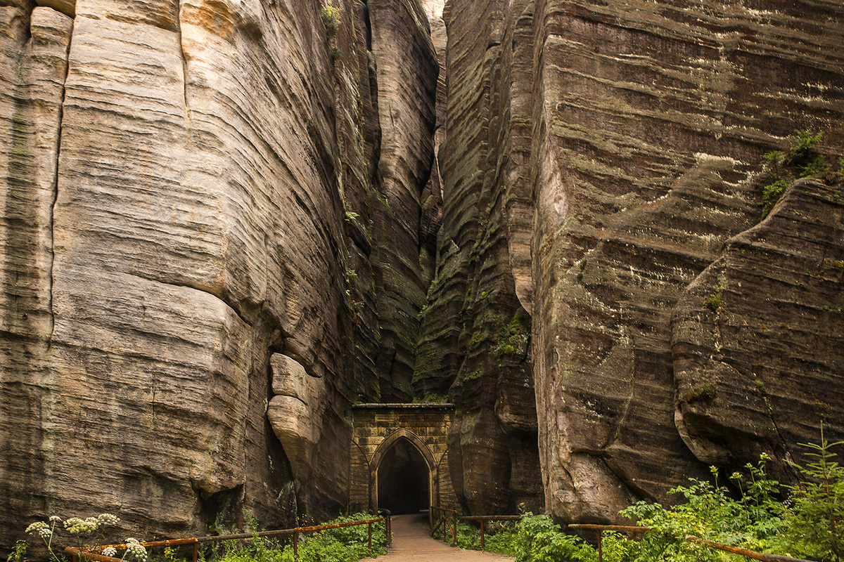 фото из интернета