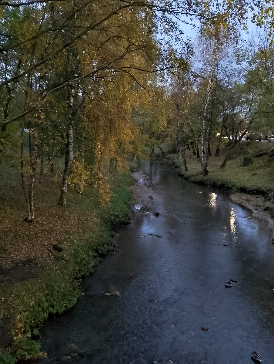 Сумерки сгущаются. Речка Золотуха с одинокими утками. Фото автора. 