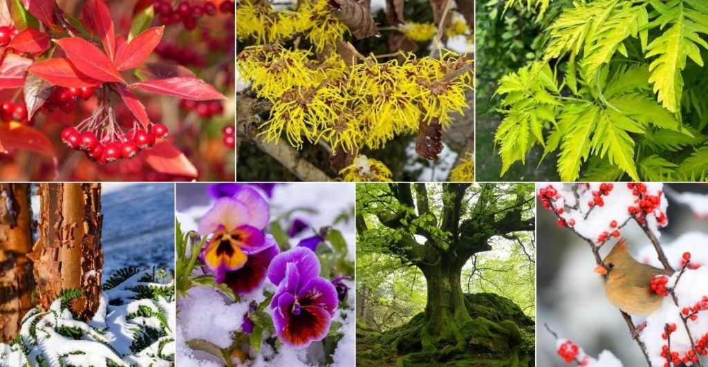 Фото из архива