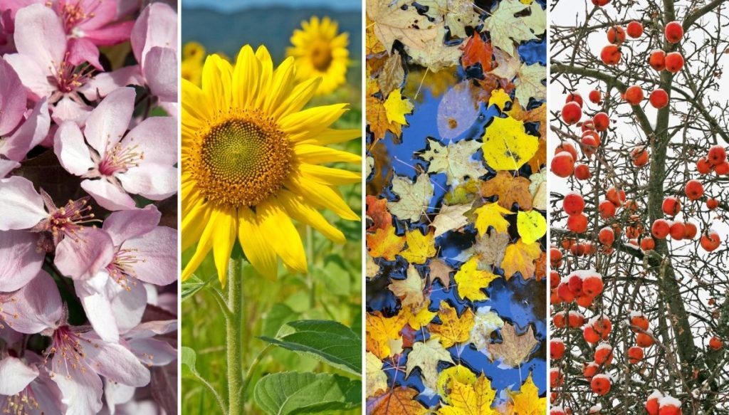 Фото из архива