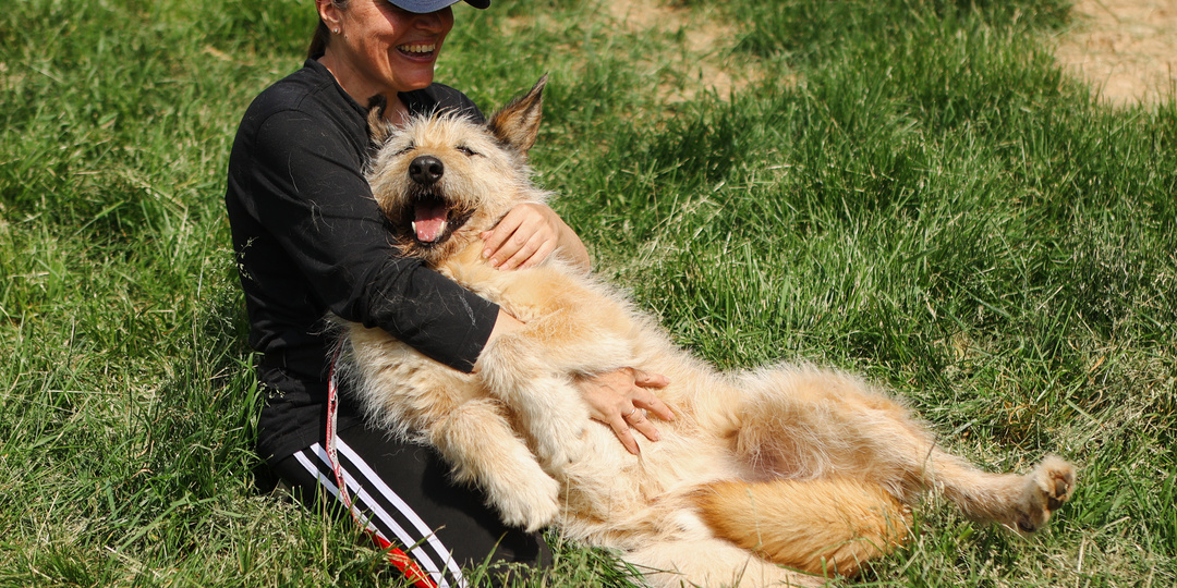 Прошло 10 лет, как он попал в приют. Изменился? Нет