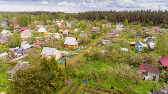    Госдума узаконила "дачную амнистию" хозяйственных построек Ирина Петрова