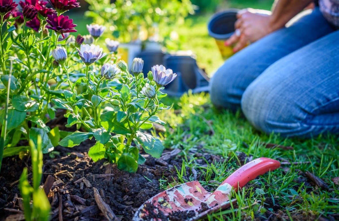 Фото из архива