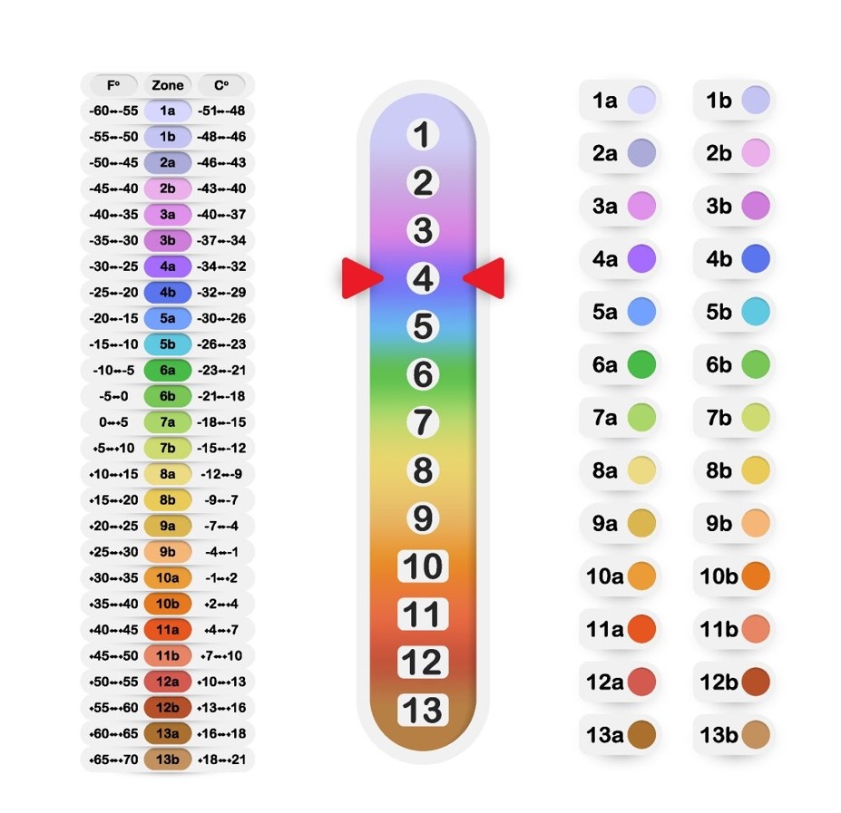 Фото из архива
