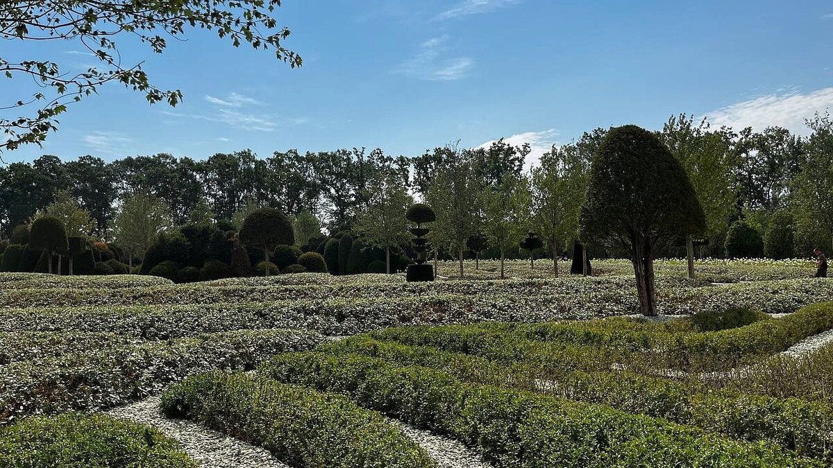    Фото: телеканал «Краснодар»