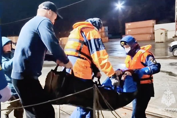 Кадр: МЧС России 
