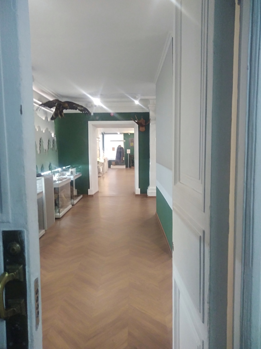 Первый этаж музея.