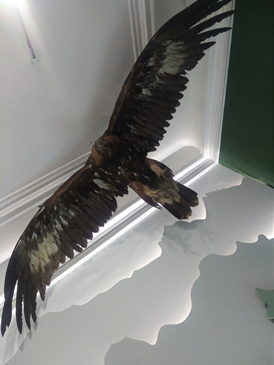 Первый этаж музея.