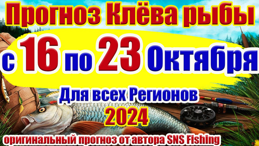 Календарь рыбака Прогноз клева рыбы на неделю с 16 по 23 Октября