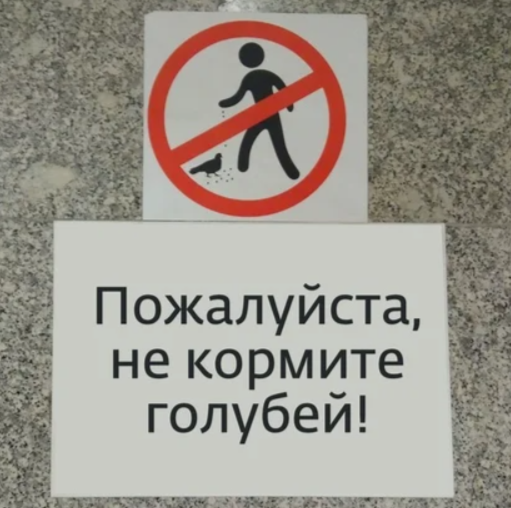 Фото из свободных источников сети Интернет
