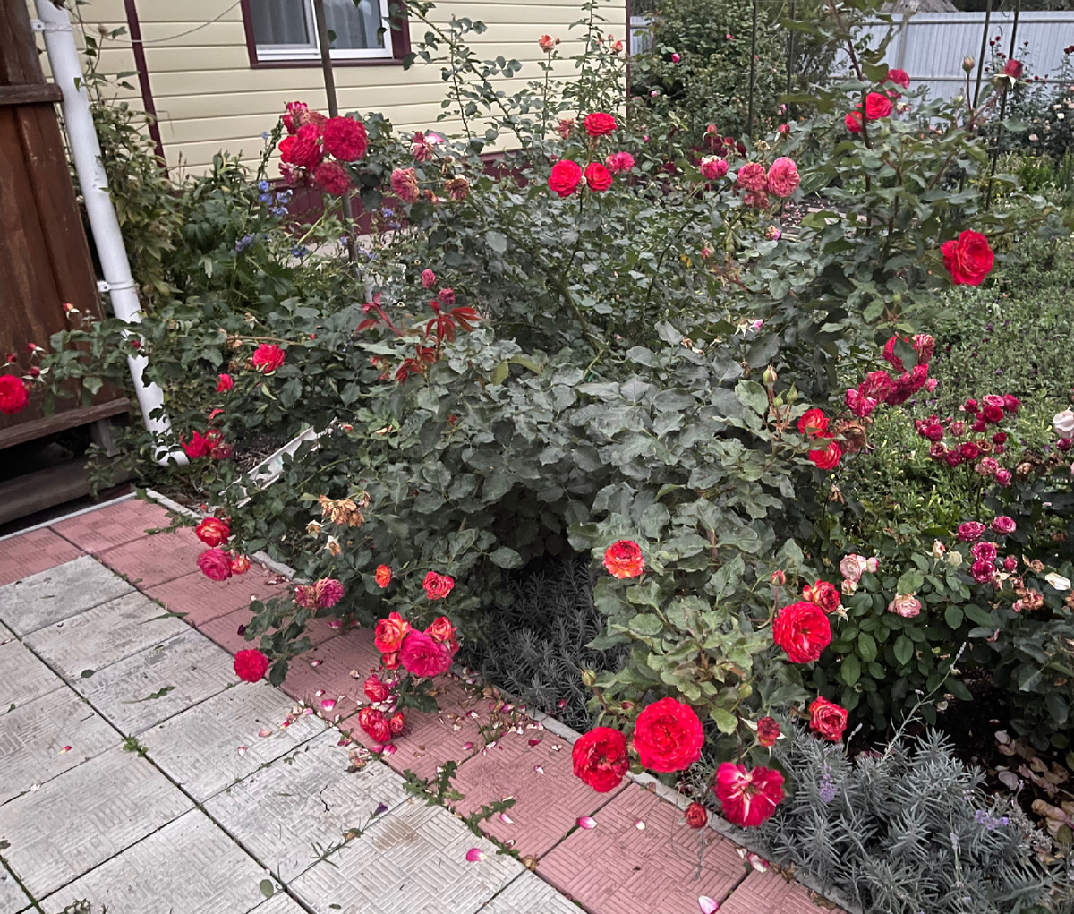 СЕРЕДИНА ОКТЯБРЯ