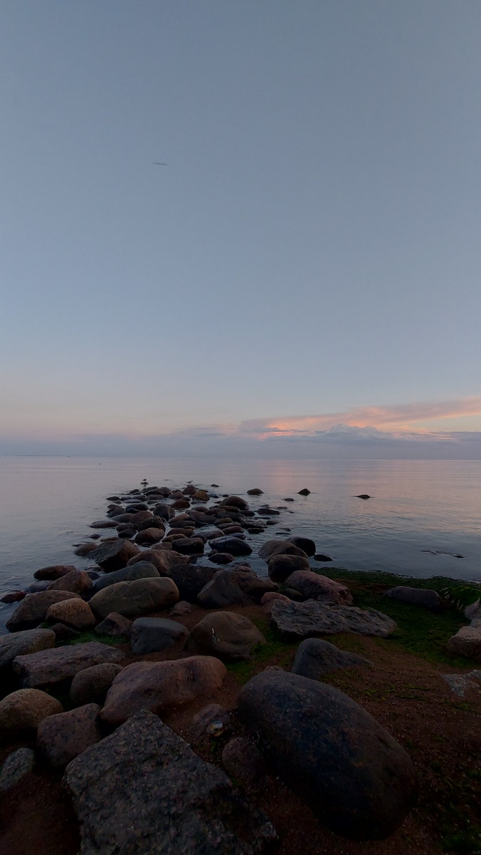 Фото сделано в июне 2024г. Стих написан тогда же.
