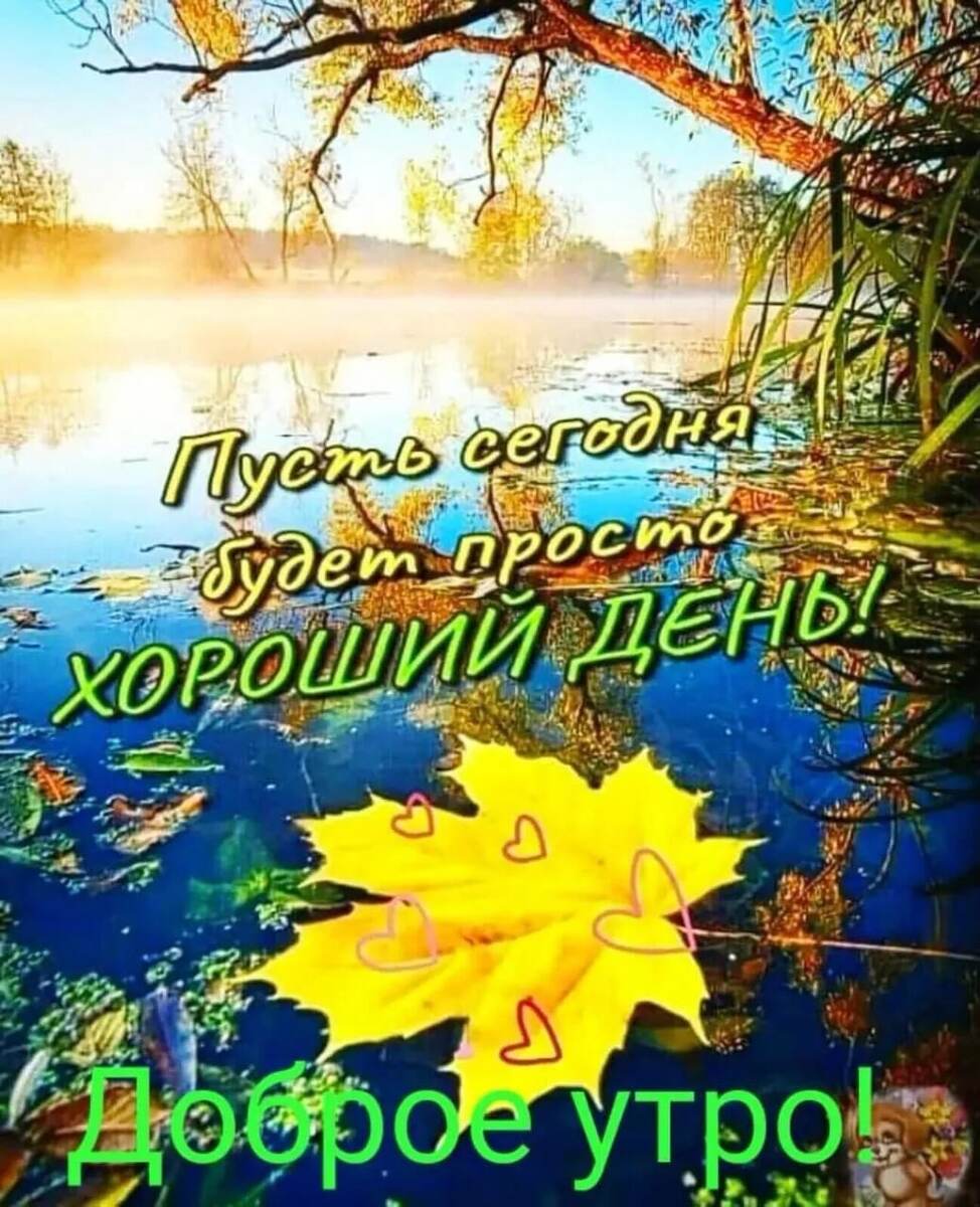 Мне прислали, с вами делюсь. 
