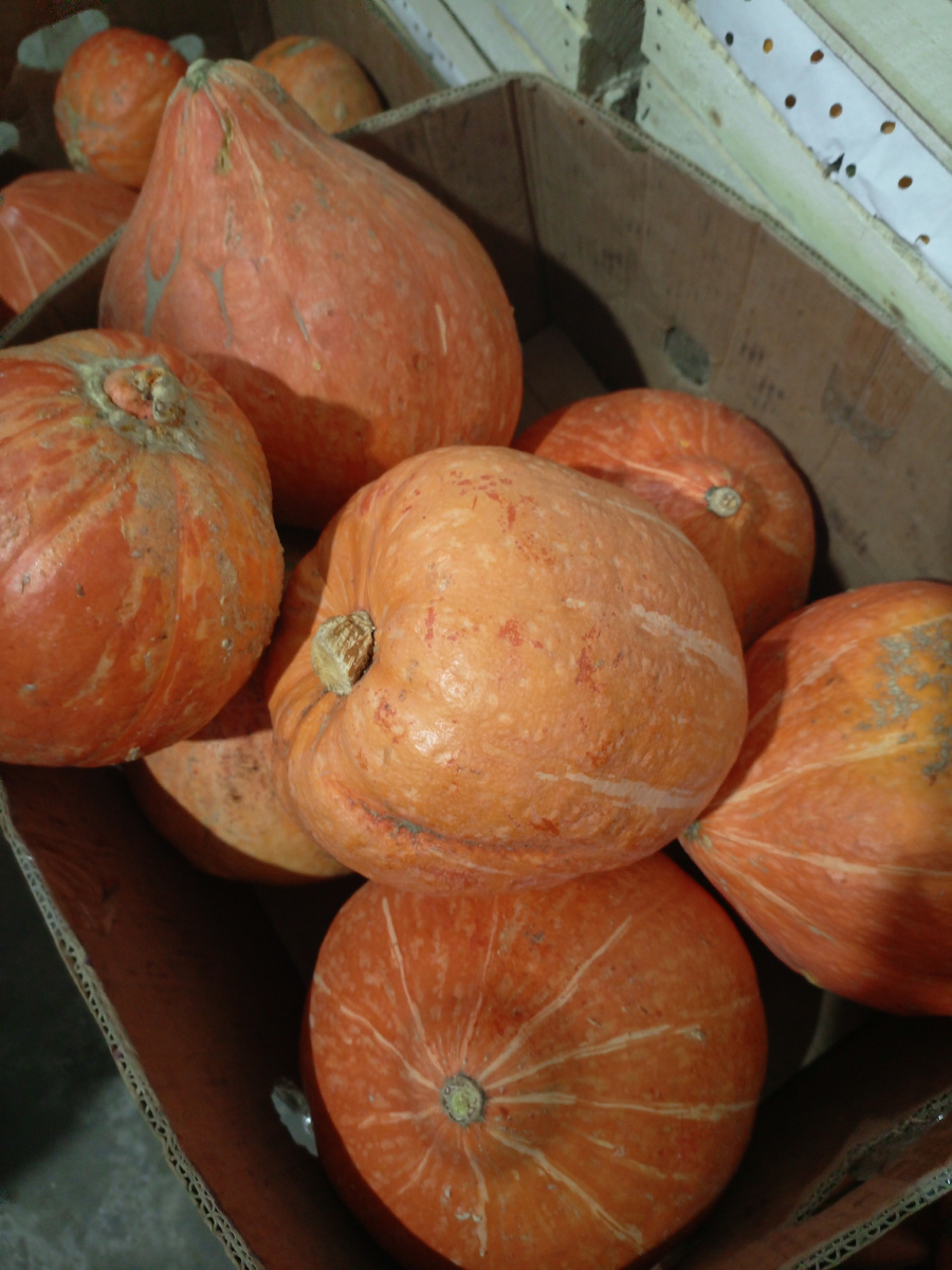 Фото сделано автором канала