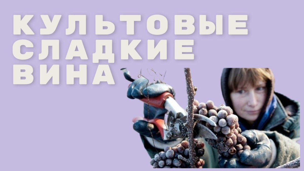 Десертные вина, которые обязательно надо попробовать