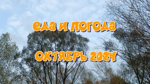 ОСЕНЬ В МОСКВЕ ПОГОДА И ЕДА ОКТЯБРЬ 2024