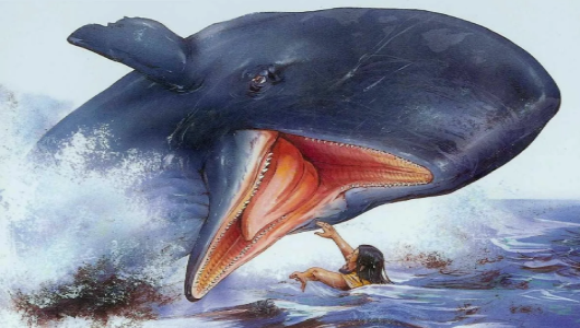 С кашалотом лучше не шутить