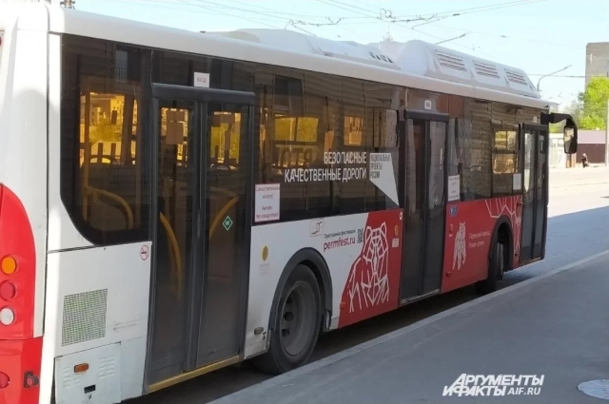    Сроки запуска маршрутов по улице не определили