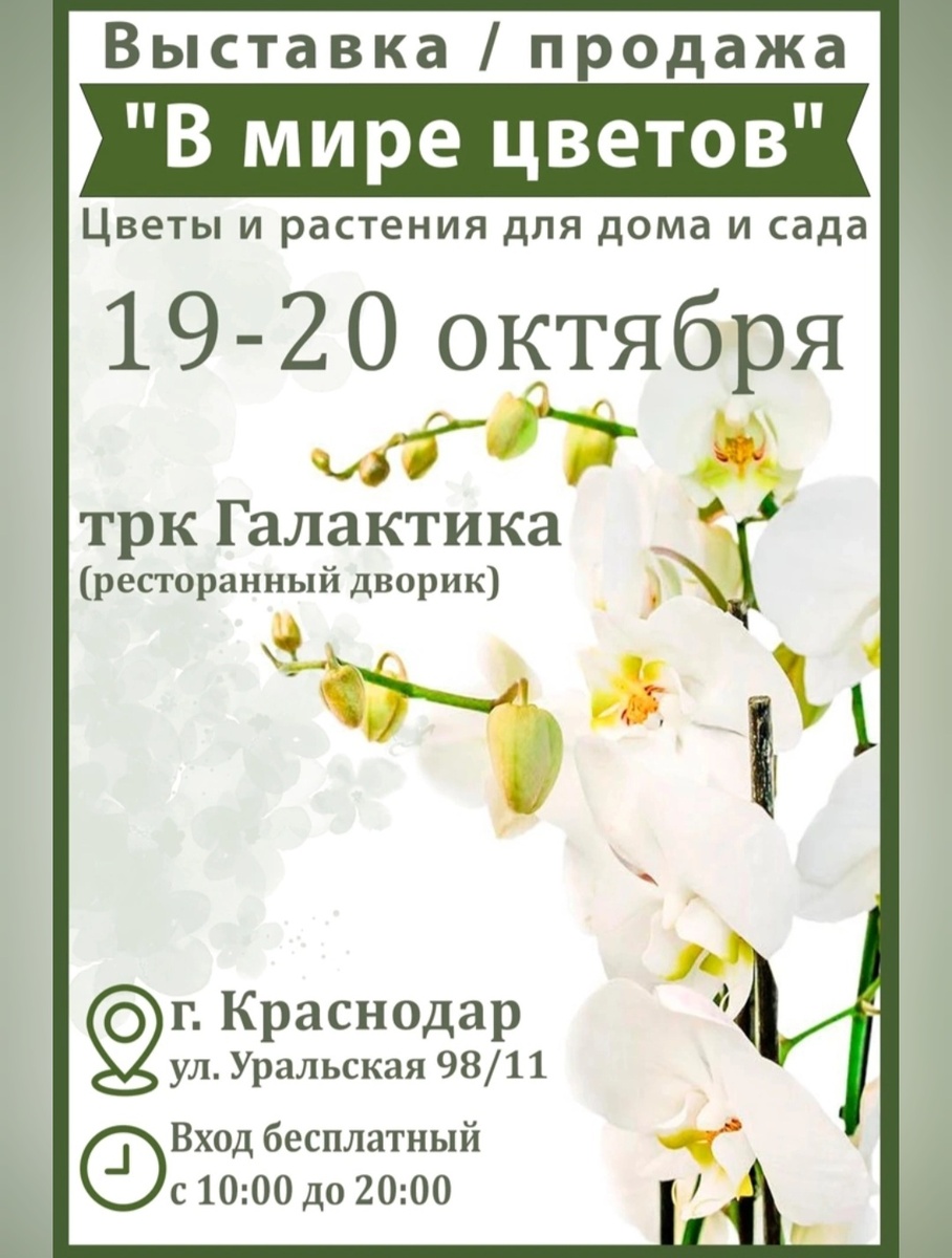 Всем хорошего настроения 😘! Продуктивного дня 🔥 ✔️!