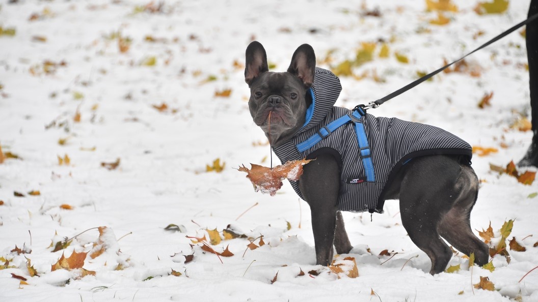    Komsomolskaya Pravda/Globallookpress