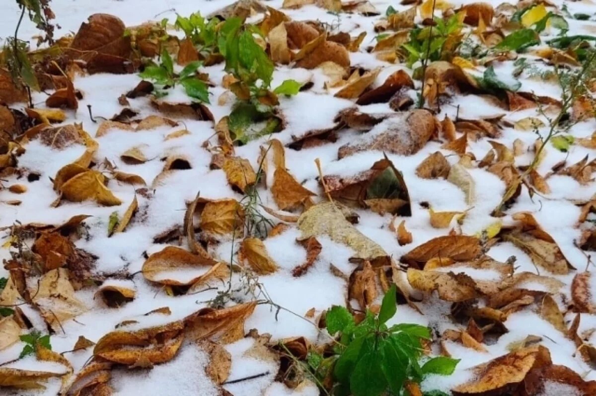    Стало известно, когда в Краснодаре выпадет первый снег