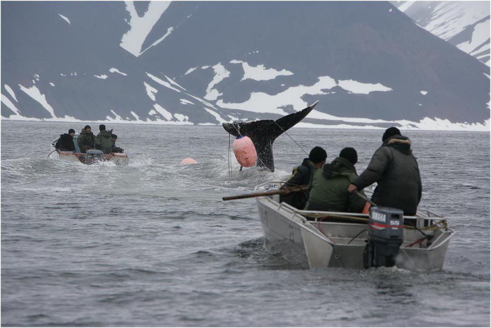 Фото: t.me/depshp_chukotka