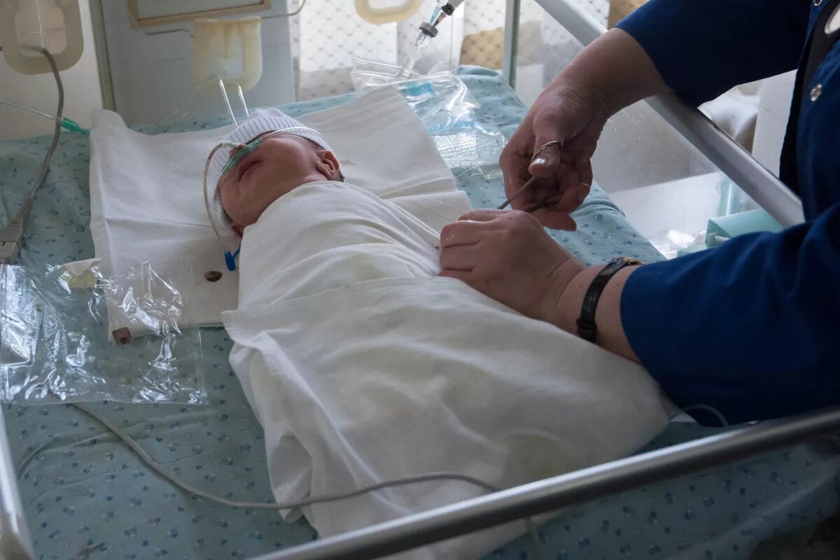 © Sputnik / Aram Nersesyan