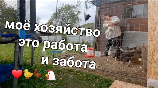 Приболела / На хозяйстве как на работе. 🐓🐤💐🐕 #жизньвдеревне #куры