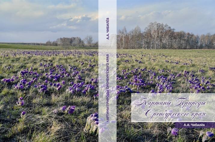    Академик РАН создал атлас-монографию «Картины природы Оренбургского края»