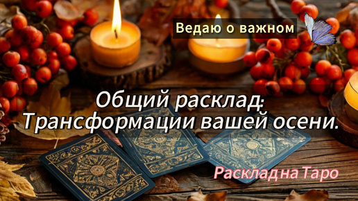 Общий расклад: 🍁Трансформации вашей осени 🍂