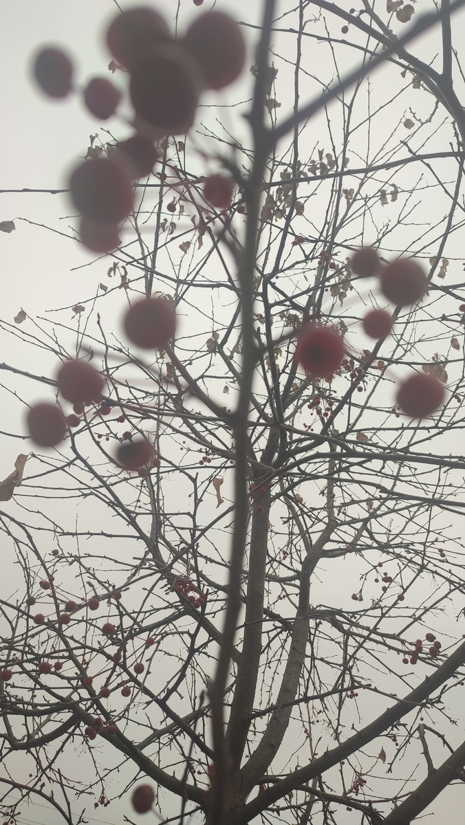 Красота осени. 