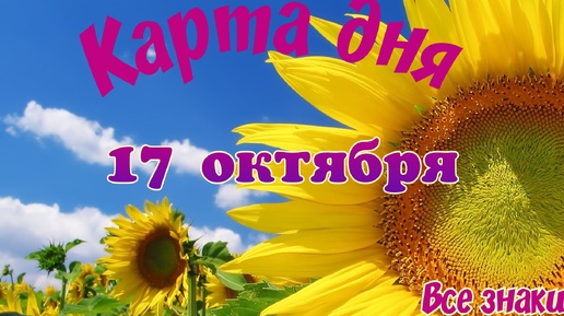 Карта дня🍁17 октября🌞 Пасьянс. Тайм-код в описании🦢