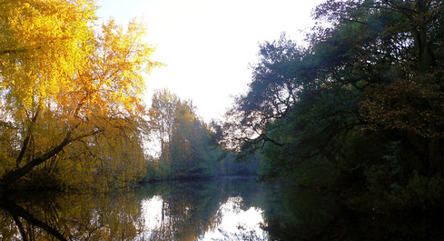 Осенняя ловля окуня в пруду