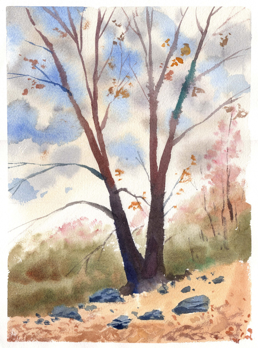 Берег шлюзового канала