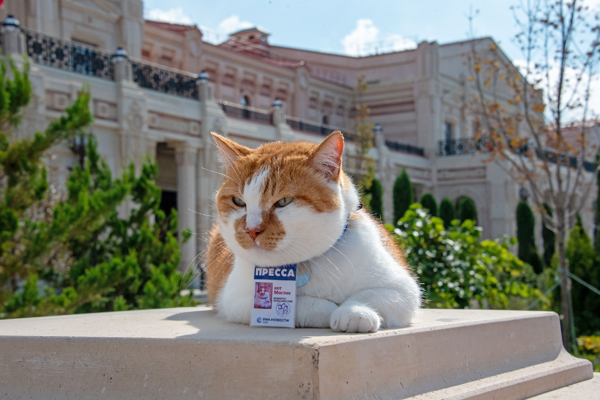 Дождались! Я в Новом Херсонесе.