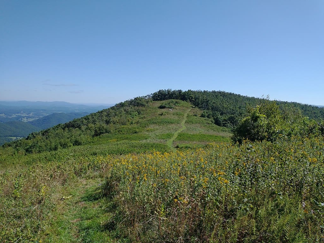 Smithh05, CC BY-SA 4.0, на Викискладе
