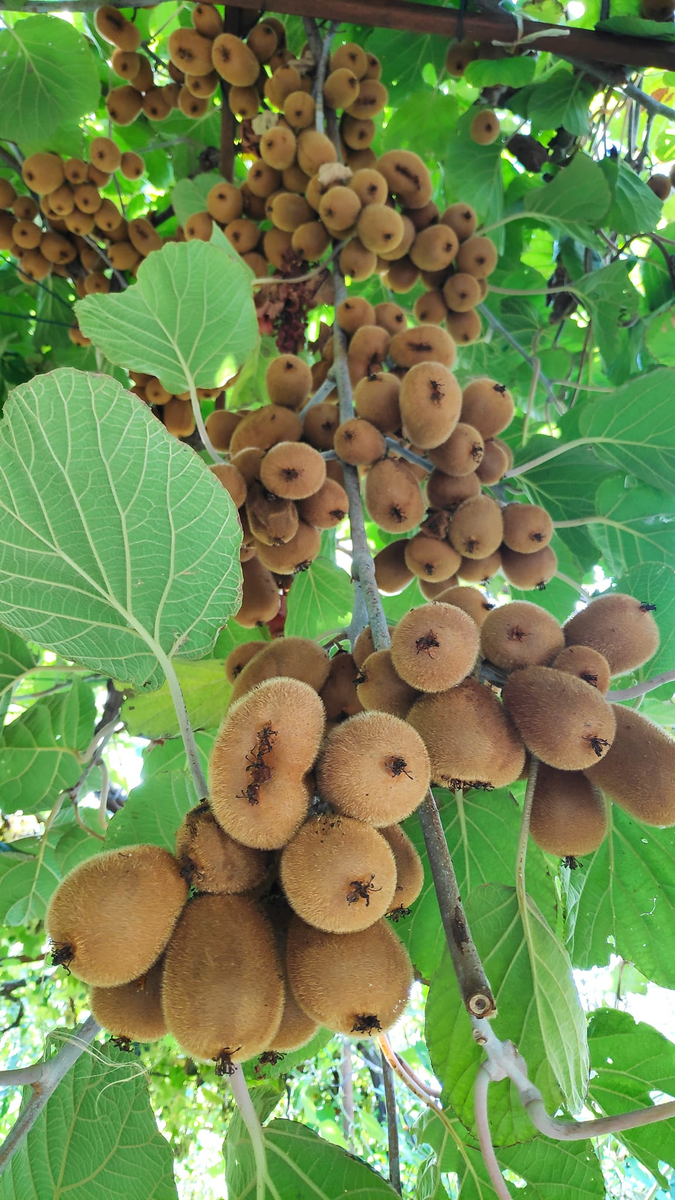 фото из интернета