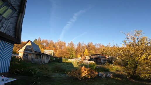 Жизнь на осенней даче. Первая неделя октября.