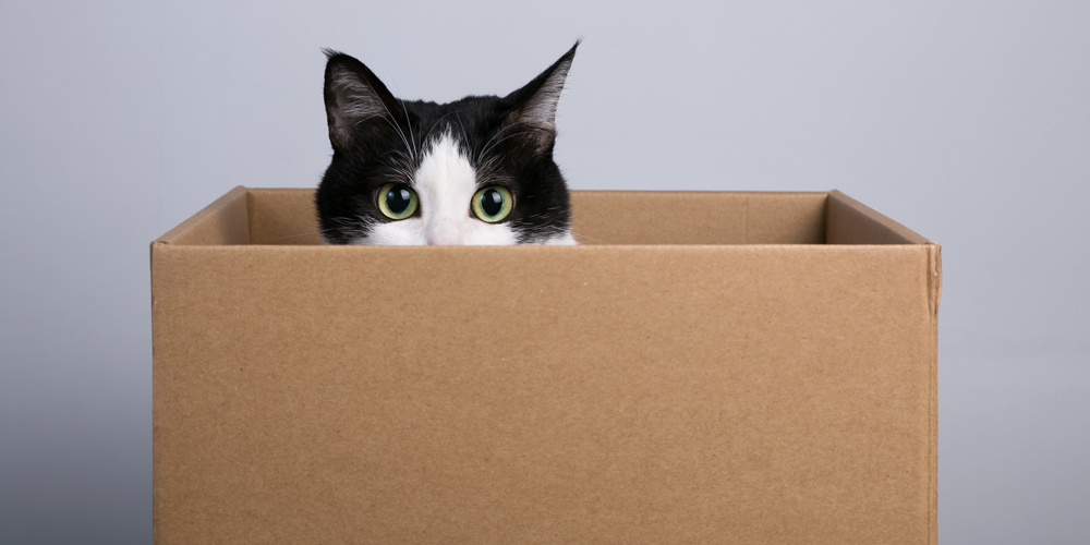 Фото с сайта www.istockphoto.com 