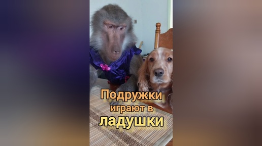 Подружки играют в ладушки