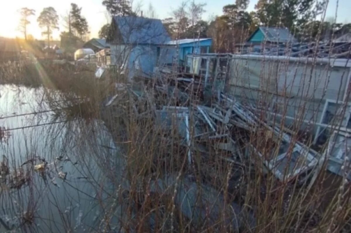    Из-за бездействия мэрии в районе Новосибирска сточными водами затопило СНТ