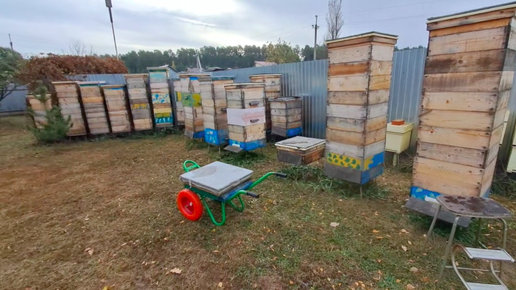 Организация пасечного хозяйства. Дёшево, надёжно, просто