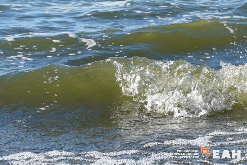    ЕАН / Жизнь мужчине спасли горох и дождевая вода