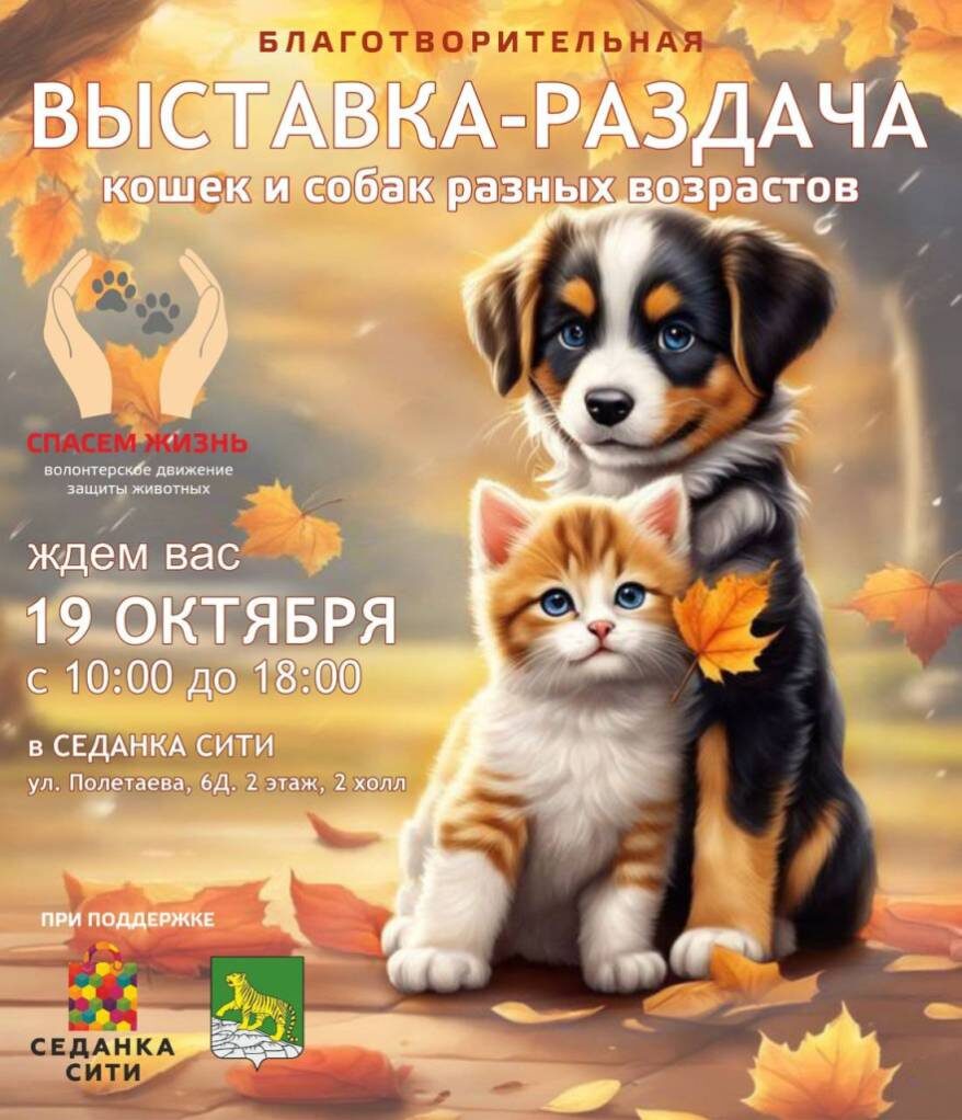    Источник фото: