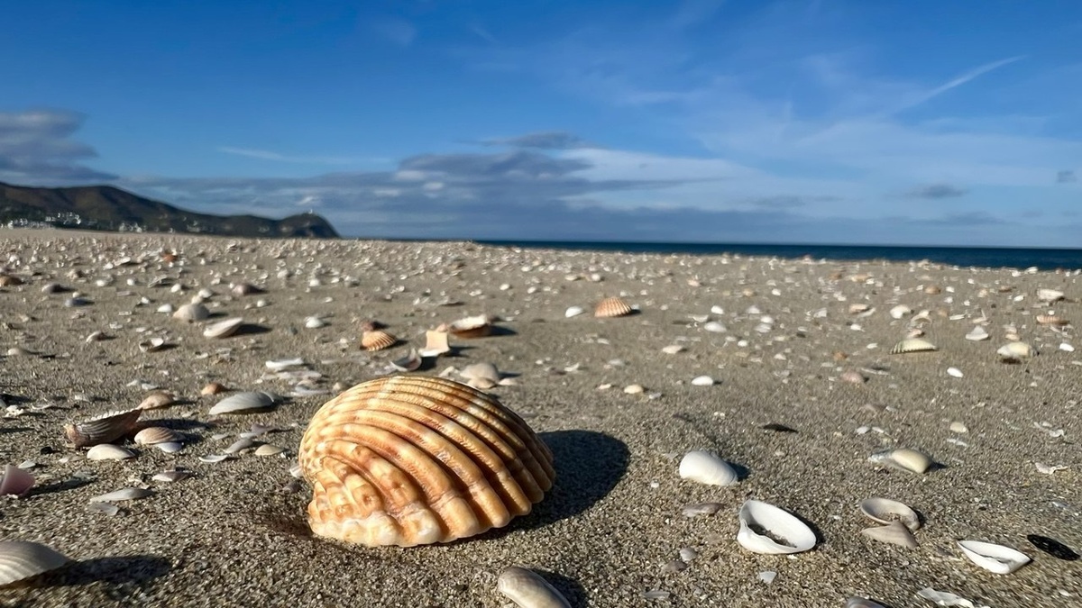 Пляж де Кабо Негро