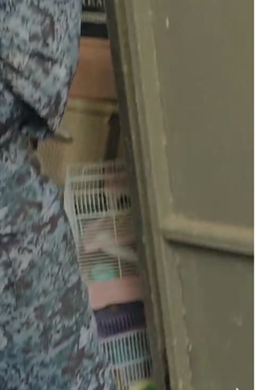 -2